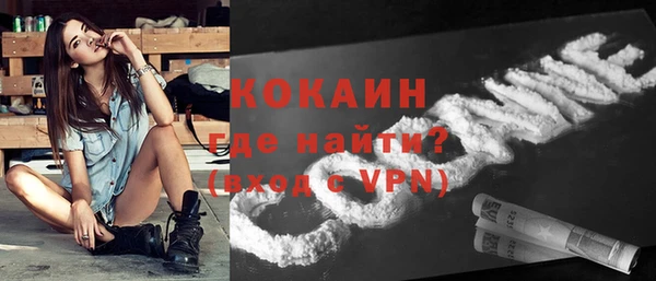 дживик Баксан