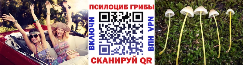Галлюциногенные грибы GOLDEN TEACHER  Ветлуга 